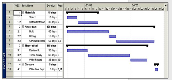 Gantt Chart Healthcare Example